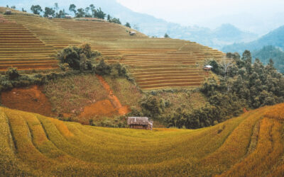 What is Vision20/20 Asia?